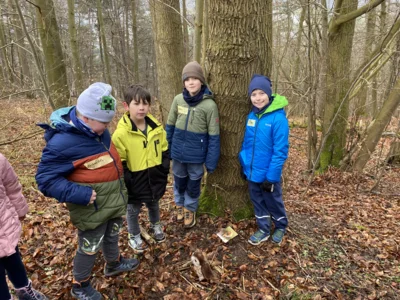 Foto des Albums: Waldtag Jahrgang 3