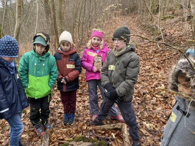 Foto des Albums: Waldtag Jahrgang 3