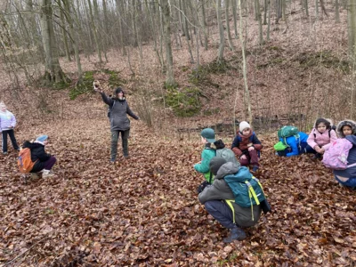 Foto des Albums: Waldtag Jahrgang 3