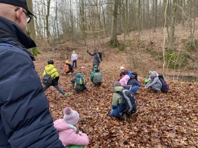Foto des Albums: Waldtag Jahrgang 3