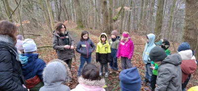 Foto des Albums: Waldtag Jahrgang 3