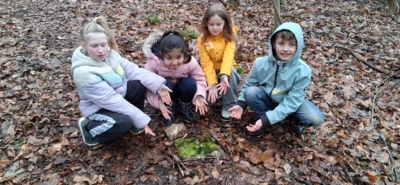 Foto des Albums: Waldtag Jahrgang 3