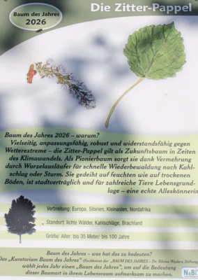 Foto des Albums: Pflanzen des Baumes des Jahres 2026