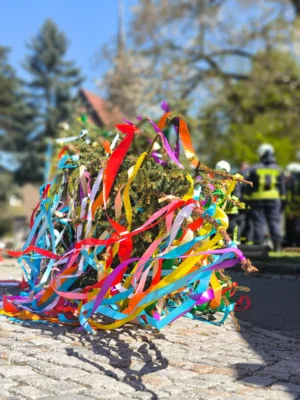 Maifest  (Bild vergr&ouml;&szlig;ern)