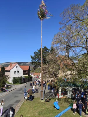 Foto des Albums: 2026-04-25_Maifest