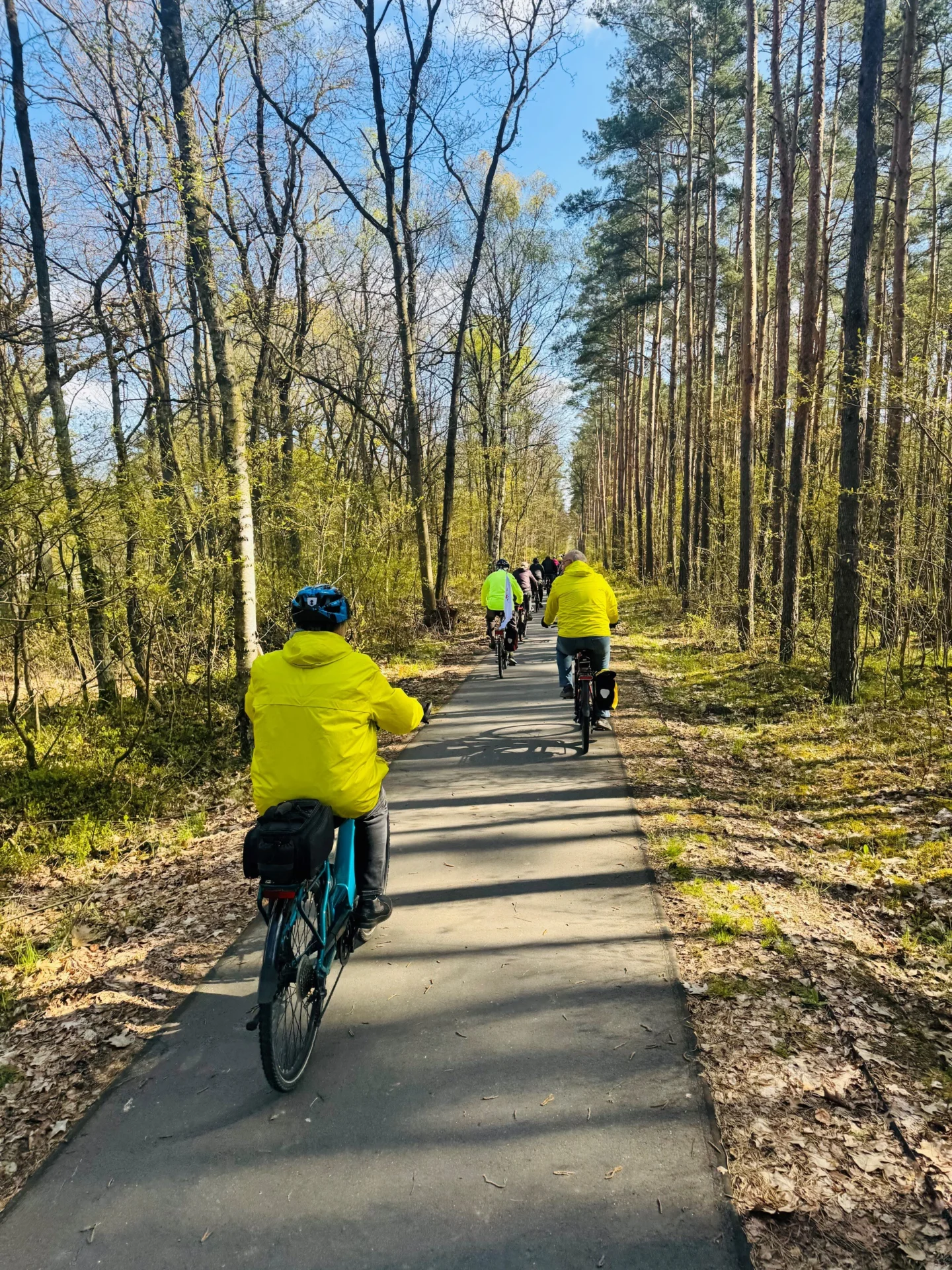 Bild: Radweg zwischen Weisen und Perleberg