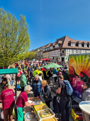 Foto des Albums: Frühlingserwachen Teil 2 - Fünf Spielmannszüge und ein Orchester sorgen für Stimmung