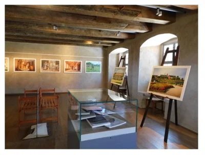 Ausstellungsbereich: Filiationslinie  (Bild vergr&ouml;&szlig;ern)