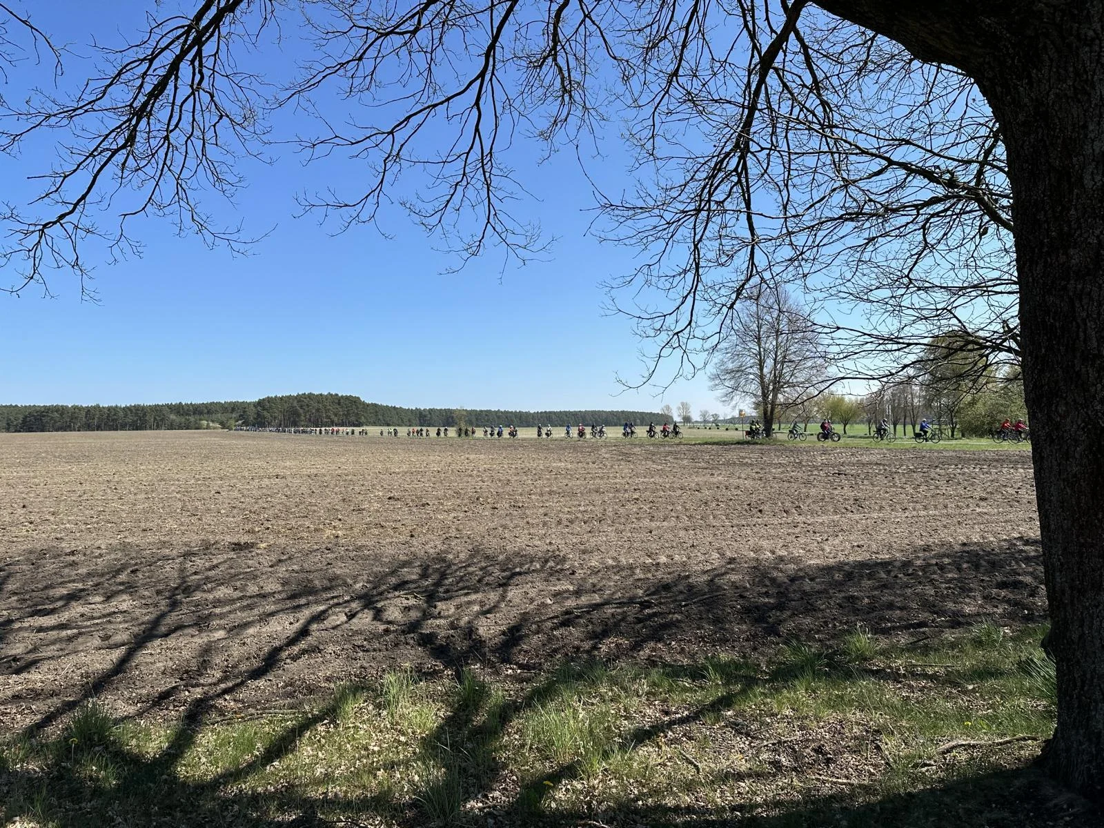 Bild: Impressionen von der 29.