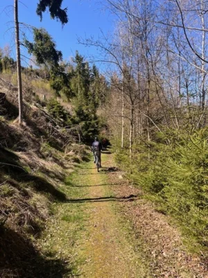Foto des Albums: Frühlingswanderung vom 25.04.2026