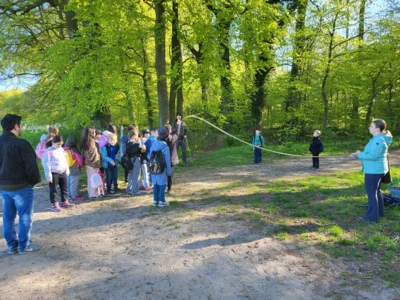 Foto des Albums: RUZ Wald 2ab 04-2026