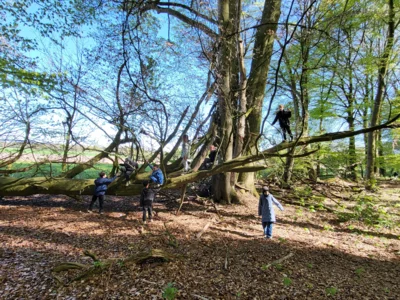 Foto des Albums: RUZ Wald 2ab 04-2026