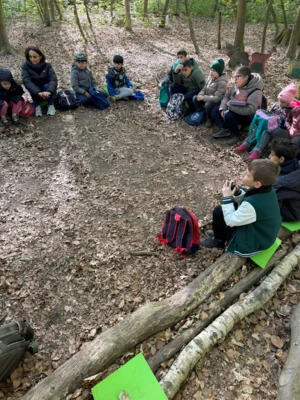 Foto des Albums: RUZ Wald 2ab 04-2026
