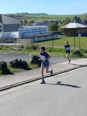 Foto des Albums: Rhöner Volkslauf