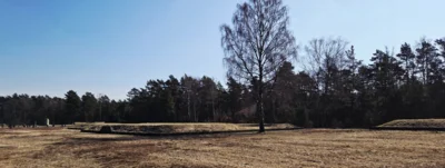 Foto des Albums: Bergen Belsen 2026