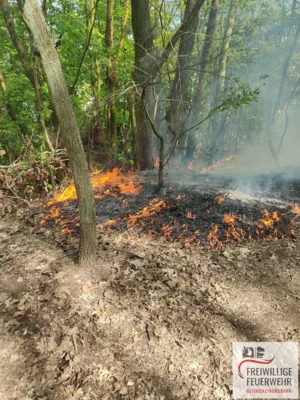 Foto des Albums: Einsatz Nr.:55/2026 B:Wald