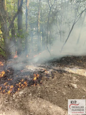 Foto des Albums: Einsatz Nr.:55/2026 B:Wald