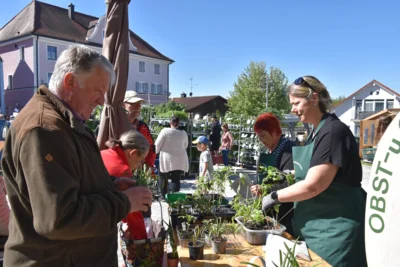 Foto des Albums: Impressionen Maimarkt 2026