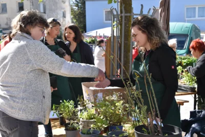 Foto des Albums: Impressionen Maimarkt 2026