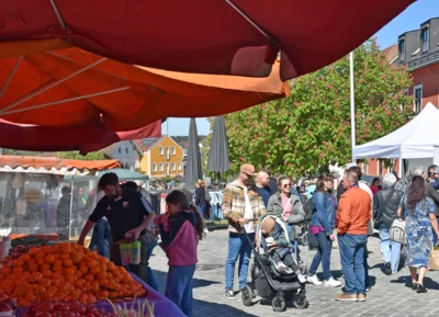 Foto des Albums: Impressionen Maimarkt 2026
