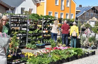 Foto des Albums: Impressionen Maimarkt 2026