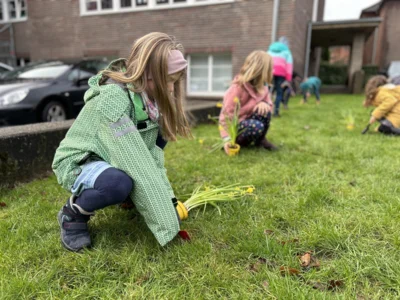 Foto des Albums: Frühblüher pflanzen
