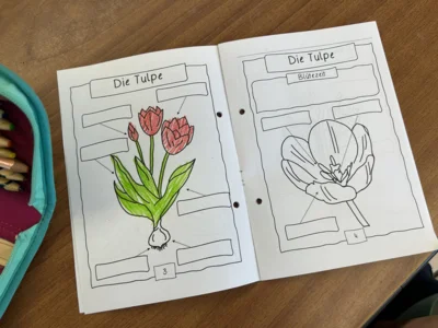 Foto des Albums: Frühblüher pflanzen