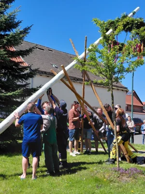 Foto des Albums: Maifeier, Maibäume umd Aufräumen nach dem Maifeuer