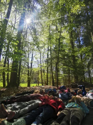 Foto des Albums: Mit allen Sinnen durch den Wald - Löwen- und Tigerklasse auf Entdeckungstour