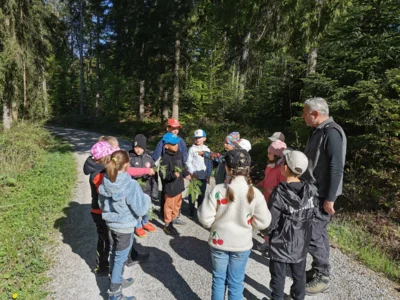 Foto des Albums: Mit allen Sinnen durch den Wald - Löwen- und Tigerklasse auf Entdeckungstour