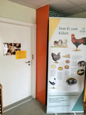 Foto des Albums: Frühlingserwachen bei den Mühlenwichteln (05.​05.​2026)
