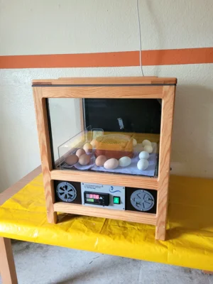 Foto des Albums: Frühlingserwachen bei den Mühlenwichteln