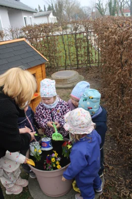 Foto des Albums: Frühlingserwachen bei den Mühlenwichteln (05.​05.​2026)
