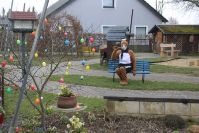 Foto des Albums: Frühlingserwachen bei den Mühlenwichteln