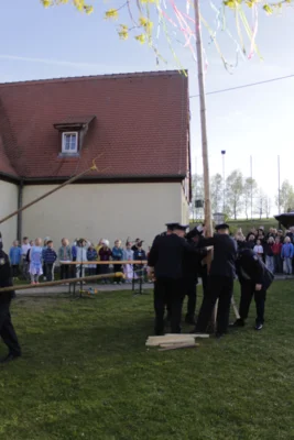 Foto des Albums: Traditionelles Maibaumsetzen