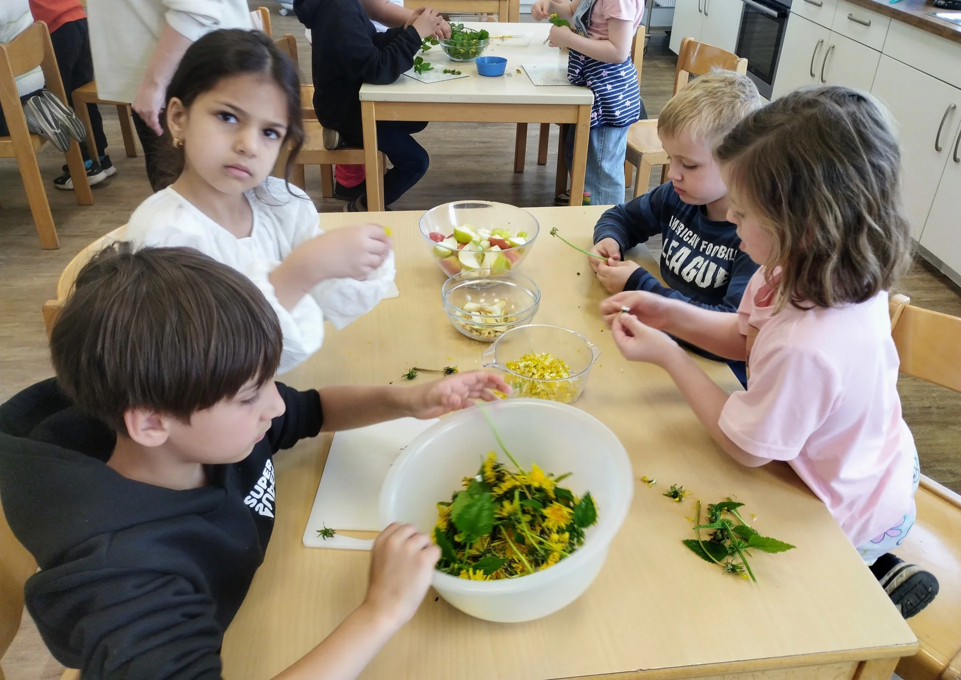 Bild: 20260504 Projekttag Nebe Fridtjof-Nansen-Schule (4)