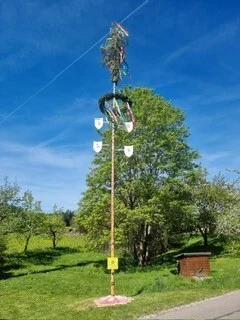 Bild: Georgenstadt Kindermaibaum