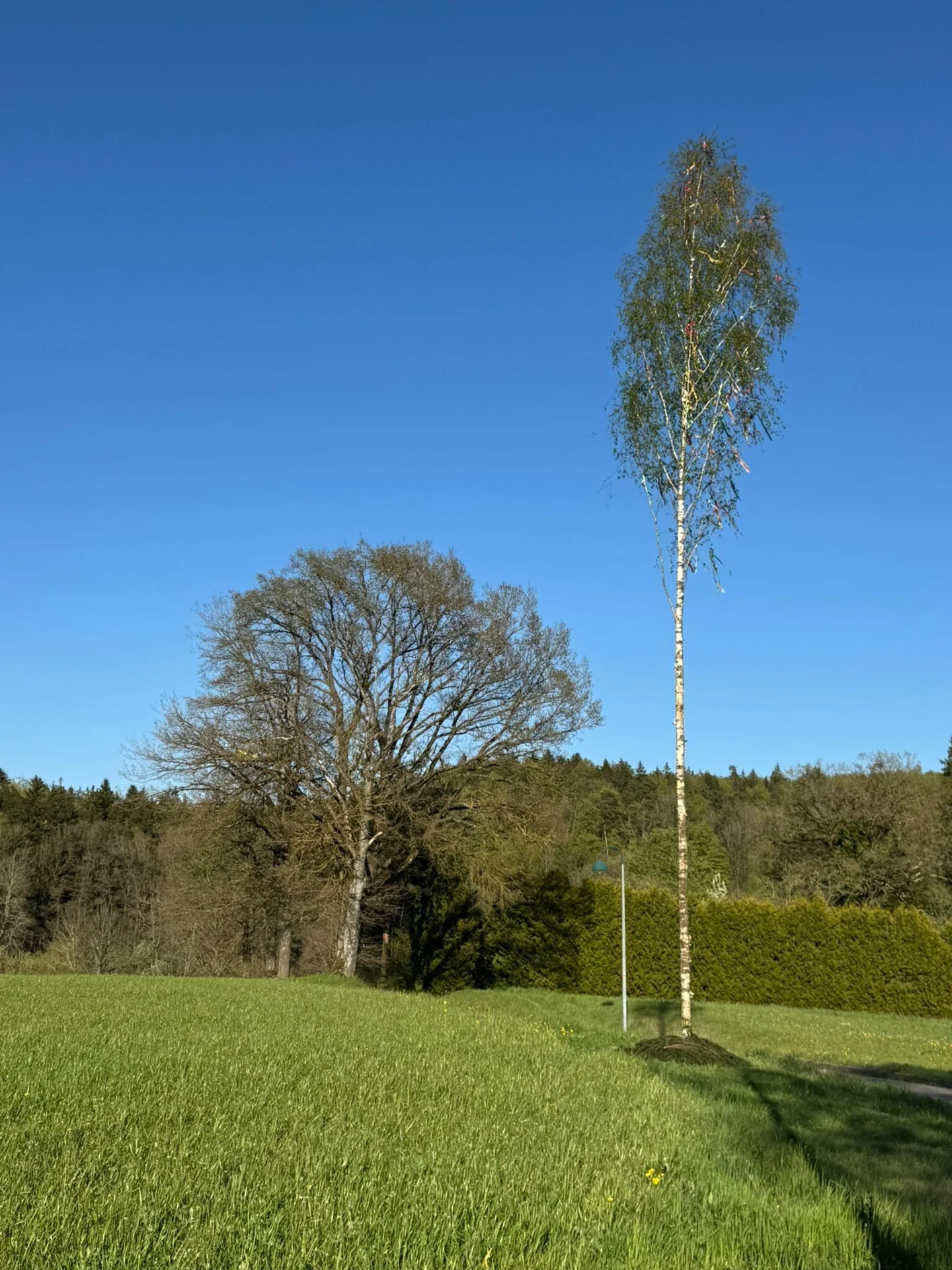 Bild: Muckental
