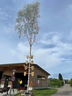 Campingplatz Waldeck  (Bild vergr&ouml;&szlig;ern)