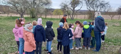 Foto des Albums: Pflanzung Klasse 1