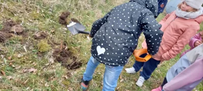 Foto des Albums: Pflanzung Klasse 1