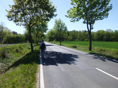 Im G&auml;nsemarsch auf der B6  (Bild vergr&ouml;&szlig;ern)