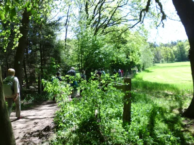 Schmaler Pfad  (Bild vergr&ouml;&szlig;ern)