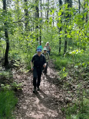Mit St&ouml;cken besser wandern?  (Bild vergr&ouml;&szlig;ern)