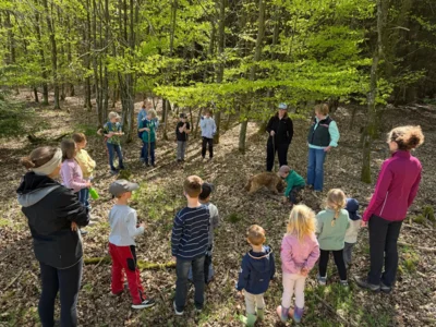 Foto des Albums: Kiju Waldtag 2026