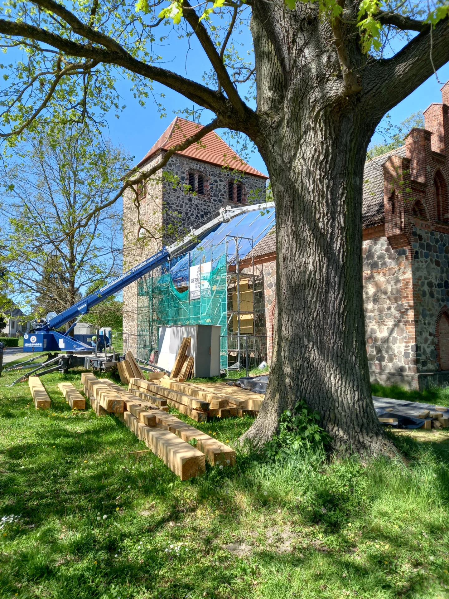 Bild der Galerie