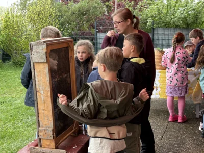 Foto des Albums: Bei den Bienen