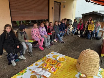 Foto des Albums: Bei den Bienen