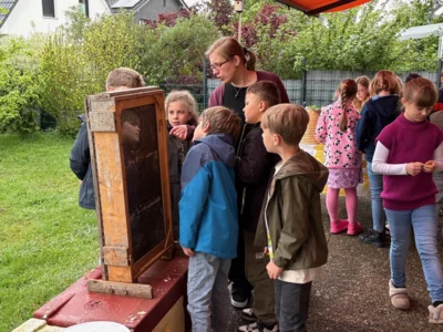 Foto des Albums: Bei den Bienen
