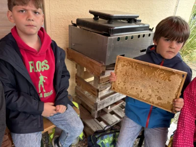 Foto des Albums: Bei den Bienen